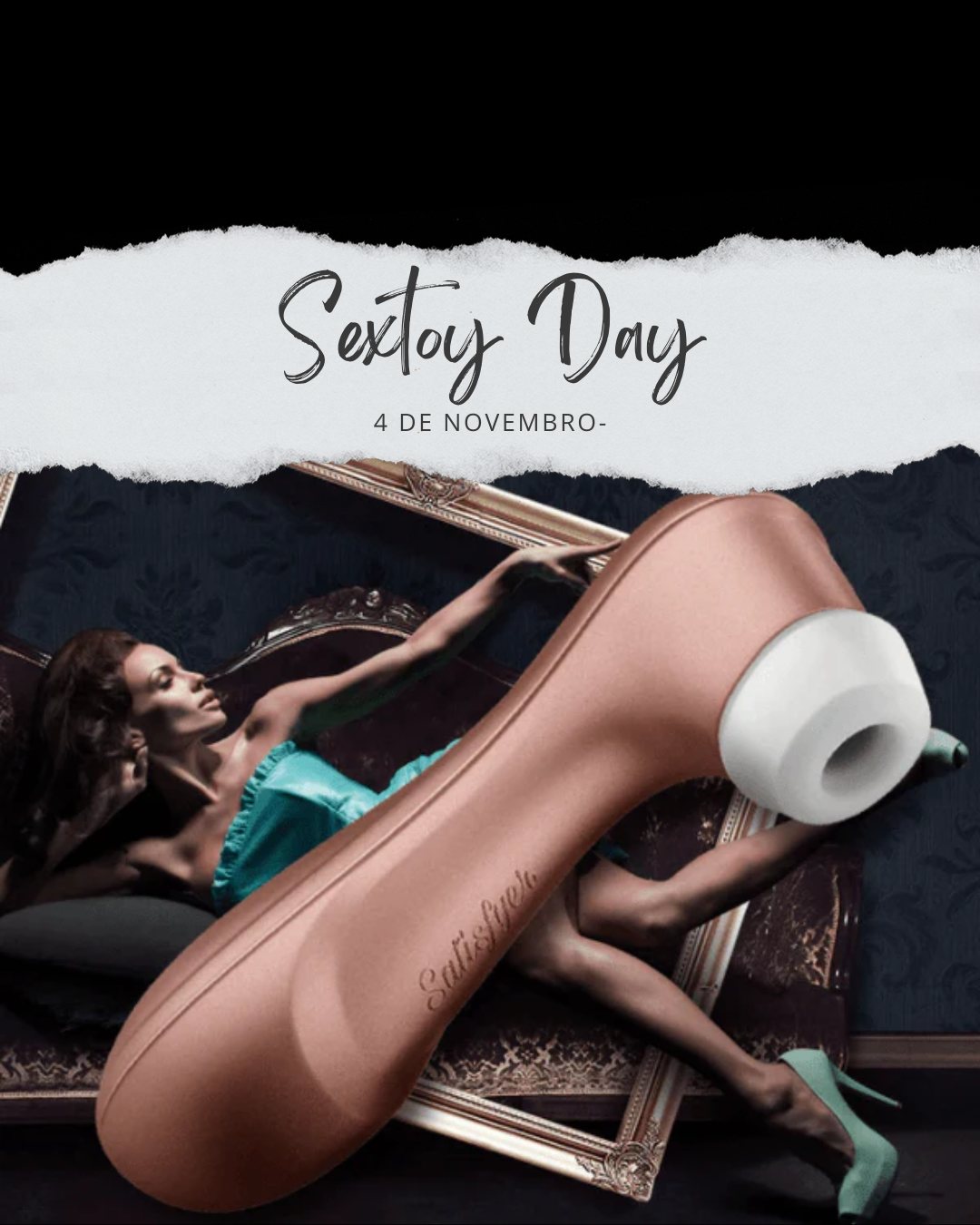 Home 1 sextoy day